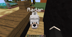 2014-09-18 19.41.46.png