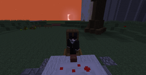 2014-09-22 09.10.02.png