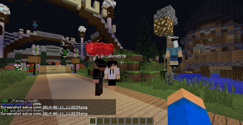 File:2014-06-11 11.23.03.png