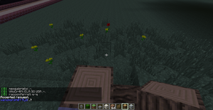 2014-08-15 11.11.21.png