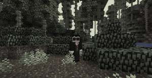 2016-12-04 23.58.02.png