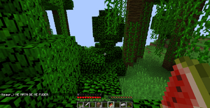 2017-12-20 19.49.30.png