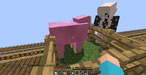 2017-08-06 05.35.22.png