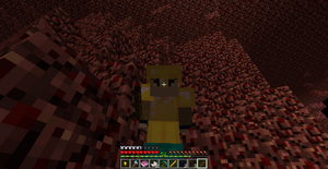 2015-01-06 16.05.48.png